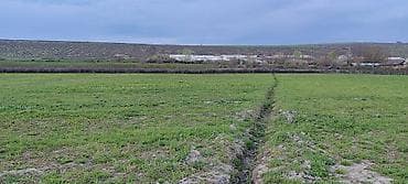 kiraye hovuzlu evler: 200 sot, Kənd təsərrüfatı — 10