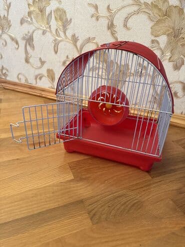 Digər heyvanlar: Digər quşlar — 2