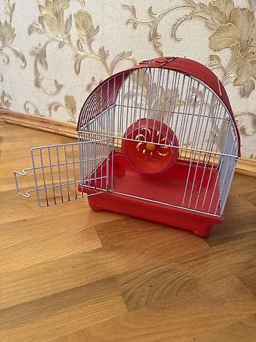 Digər heyvanlar: Heç bir pırablemi yoxdu — 2