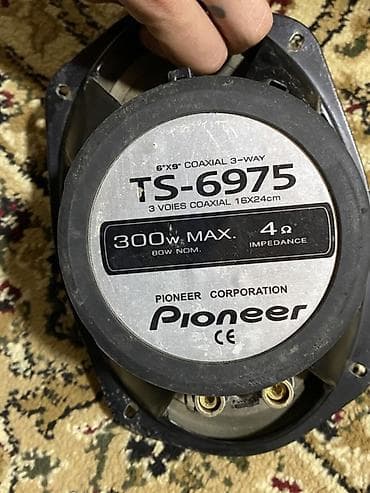 dinami: Arginal 4 du de yolxada bilersiz Pioneer TS-6975 avtomobil — 4