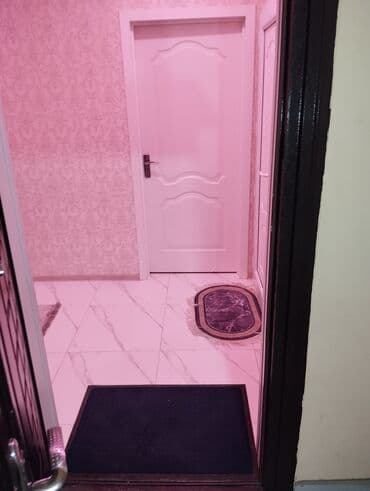 Bitkilər: Ev full Evro remontdur. Suyu, qazı, işığı, ev telefonu daimidir — 5