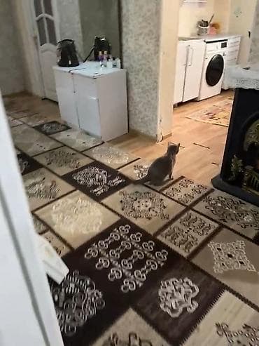 baki ev: Atyali nubar qesebeside seraitli ev kiraye verilir mekteb ve esas — 6