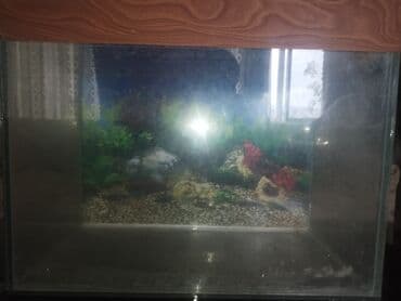 bmw 1 серия 114i mt: Прямоугольный аквариум, Пустой, 85 л, Самовывоз — 2