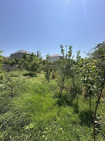 4 göz satışı: 5 sot, Tikinti, Mülkiyyətçi, Kupça (Çıxarış), Texniki pasport — 2