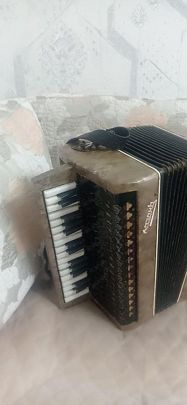 akkardeon: Akustik Akkordeon, İşlənmiş, Ünvandan götürmə — 3