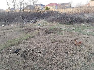 pirallahida torpaq satilir: 1 sot, Biznes üçün, Barter mümkündür, Kupça (Çıxarış) — 8