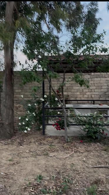 bide: Heyet ve bag ucun keyfiyetli matreallardab gazirlanmiw hazir — 4