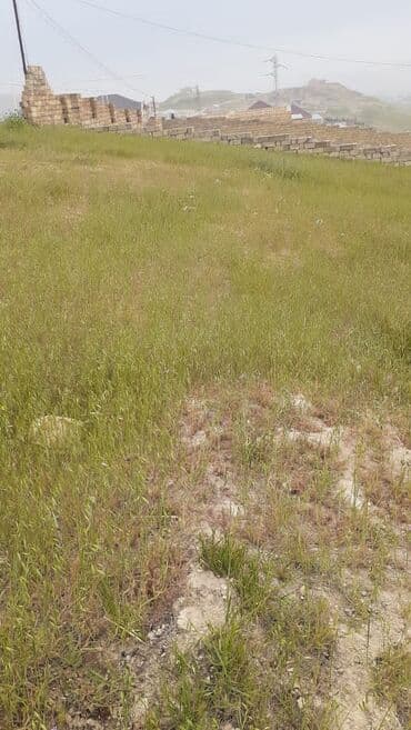 Lexus: 8 sot, Tikinti, Bələdiyyə — 2