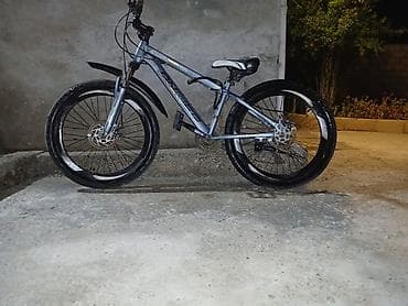 velo disk: Dağ və şəhər sürüşləri üçün uyğun velosiped. Gümüşü rəngli çərçivəyə — 2