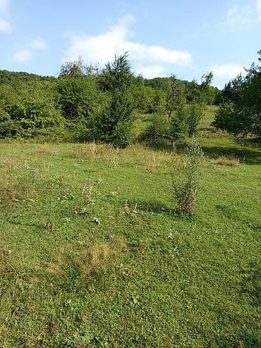 ucuz torpaq sahəsi: 17 sot, Tikinti, Maklerlər narahat etməsin, Bələdiyyə — 4