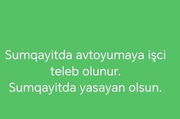 Avtoyuyucu tələb olunur, Növbəli qrafik