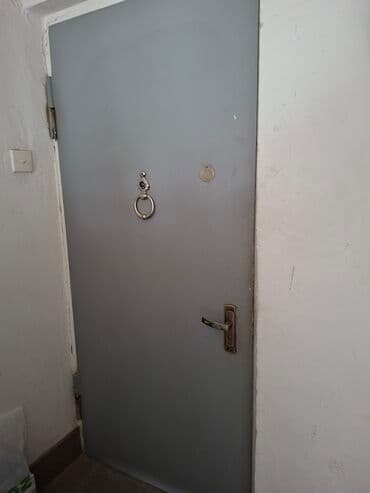 Потолок: Metall giriş qapısı - Material: polad/metal vərəq, boz rəngli boya — 1