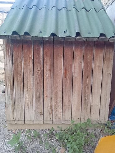 it pulsuz: Taxta it evi - Material: qalın taxta panellərdən yığılmış korpus — 2