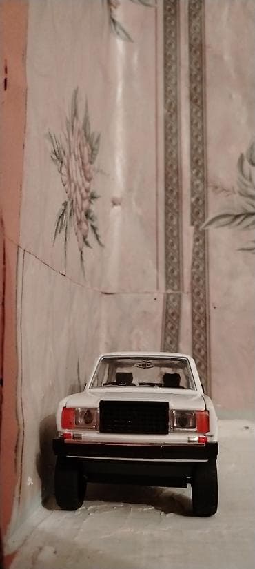 ağ baliq: VAZ, 2004 il, 1:24, Dəmir, Ödənişli çatdırılma — 1