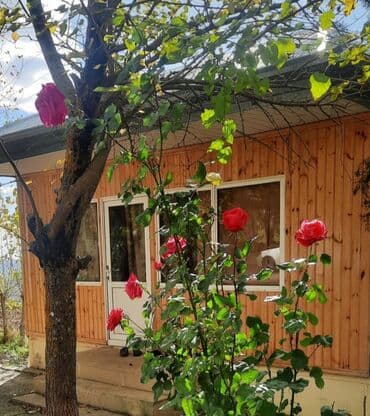 şamaxıda satılan evlər əmlak az: Şamaxıda istirahət mərkəzi restorant 62 sotda paket kupca abyekt ücün — 2
