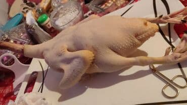 Balıq və dəniz məhsulları: Musk ördəyi – kəsilmiş və təmizlənmiş - Növ: Musk (indo) ördəyi - — 2