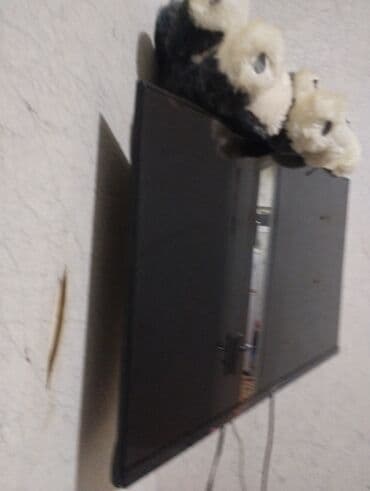 TV tünerlər və resiverlər: İşlənmiş Televizor Shivaki LCD 40" 4K (3840x2160), Ünvandan götürmə — 1