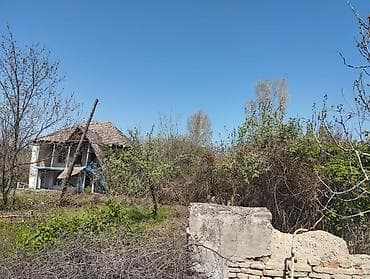 yeni guneşlide ucuz evler: Kənd təsərrüfatı — 8