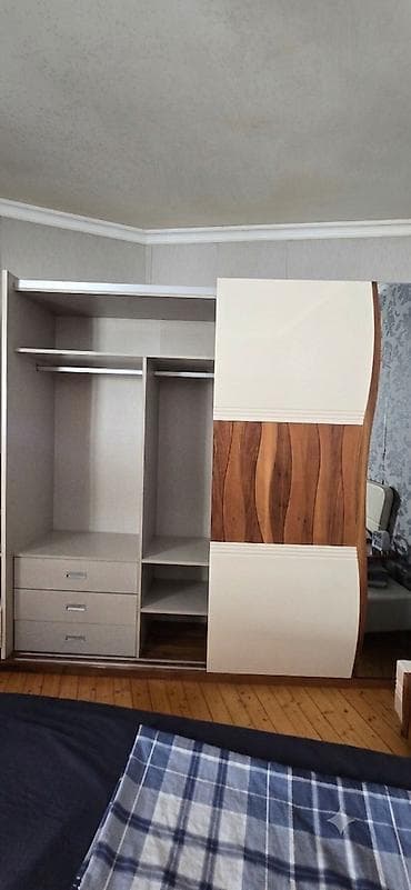 ag qapi: İşlənmiş, 2 qapılı, Güzgülü, Rəngli, Kupe, Düz dolab — 3