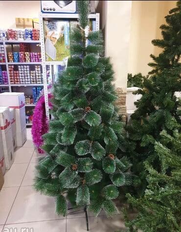 palma agaci satisi: Yolka Yolka satisi teze mallar endirimde Yeni il agaci 7 man 60 sm 15 — 8
