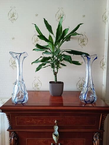 meduza guldan: Vaza dəsti, Xrustal — 1