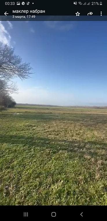 54 sot, Kənd təsərrüfatı, Maklerlər narahat etməsin, Kupça (Çıxarış) — 2