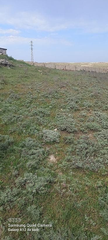 qecresde torpaq satilir: 2000 sot, Tikinti — 4