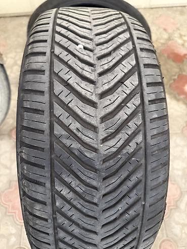 xrom diski: Məhsul: Avtomobil şinləri - Ölçü: 225/55 ZR17 (101Y, Extra Load — 7