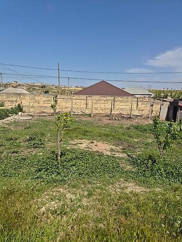 evler satilir: 4 sot, Tikinti, Kupça (Çıxarış) — 7