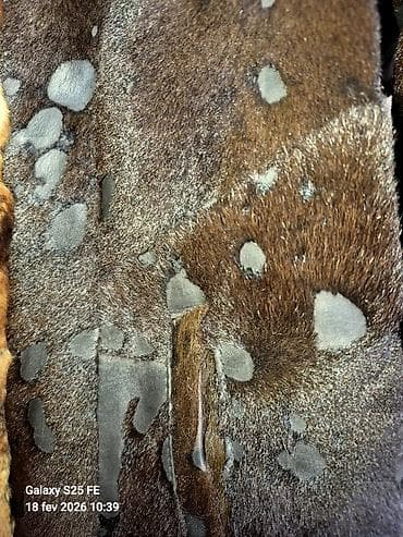 Toy paltarları və aksesuarları: İdeal vəziyyətdə dəri gödəkçə satıram.Təbii quzu dərisi,yaxası isə — 3