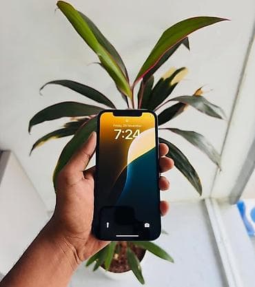 opad 14 pro: IPhone 12, 256 GB, Mavi, Zəmanət, Kredit, Barmaq izi — 2