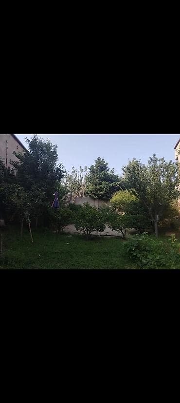 emircanda ucuz heyet evleri: 7 otaqlı, 500 kv. m — 4