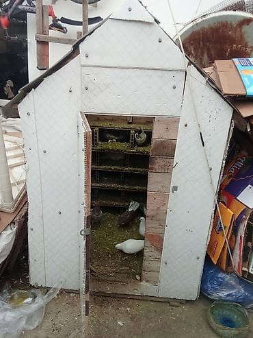 taxta qefesler: Məhsul: Ev şəraitində göyərçin saxlamaq üçün taxta/sandviç panelli — 2