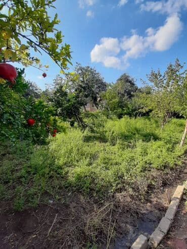 torpağ sahesi: 7 sot, Tikinti, Makler, Kupça (Çıxarış) — 8