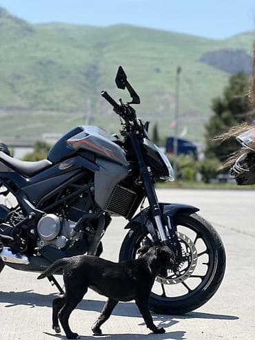 motosiklet yağı: - NK 250, 250 sm3, 14650 km — 8