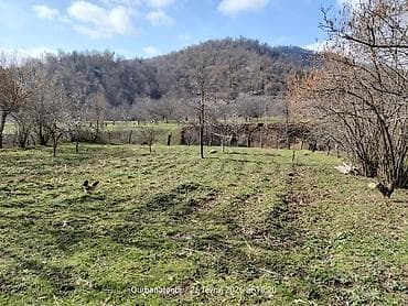 Mənzillər: 10 sot, Tikinti, Makler, Kupça (Çıxarış) — 3