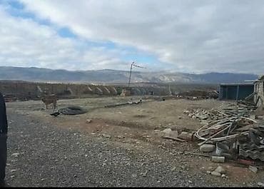 obyekt satlir: Ferma kompleksi – heyvandarlıq üçün hazır infrastruktur - Geniş — 4