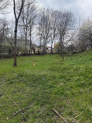 qusarda yer satilir: 10 sot, Tikinti, Mülkiyyətçi, Kupça (Çıxarış) — 1