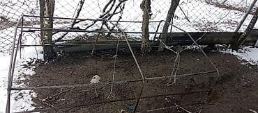 ford masin satisi: VAZ Lada Niva 4x4 off-road - Kuzov: 3 qapılı, ağ rəng - Tam — 9