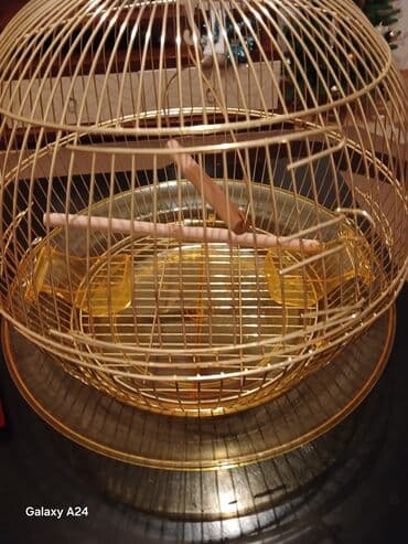 Xaltalar, qayışlar və tasmalar: Qızılı rəngdə dairəvi quş qəfəsi - Material: metal korpus, üst — 2