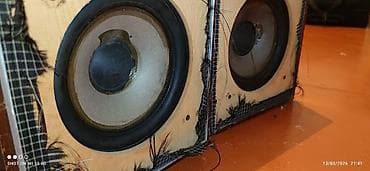 İki ədəd passiv akustik kolonka korpusu və dinamiklər 20 sm - Hər