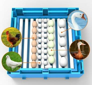 sud şağan aparat: Inkubator #inqubator inkubatorlarin birinci əl satişi unversal — 2