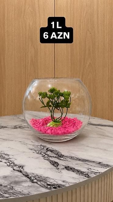 pulsuz it: Yumru akvarium, 1 l, Pulsuz çatdırılma, Ödənişli çatdırılma, Ünvandan götürmə — 4