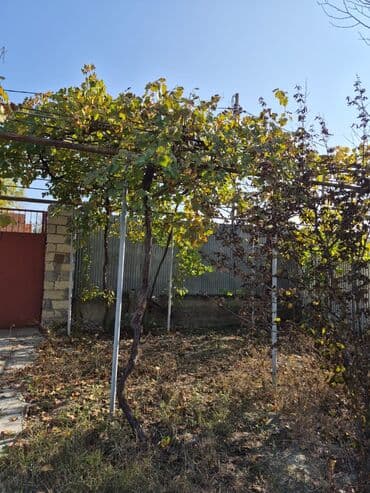 Qarajlar: 8 sot, Mülkiyyətçi, Kupça (Çıxarış), Texniki pasport — 2