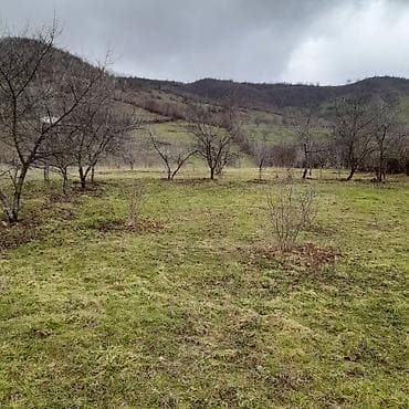 ucuz torpaqlarin satisi: Kənd təsərrüfatı — 3