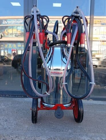 sag: Tək bidon, Türkiyə, Kredit — 10