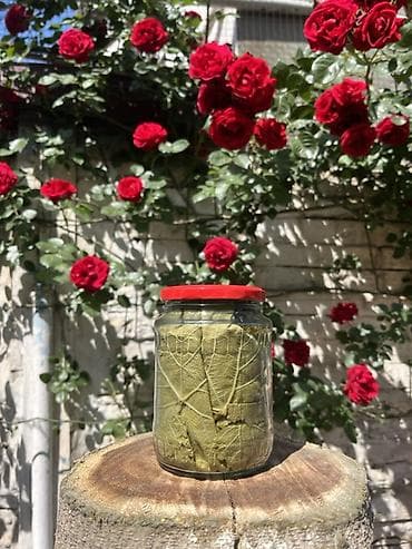 gence yemek sifarisi: 🍃 Seçilmiş tənək yarpaqları Ağzına qədər keyfiyyət 🌿 720 ML • 3₼ — 4