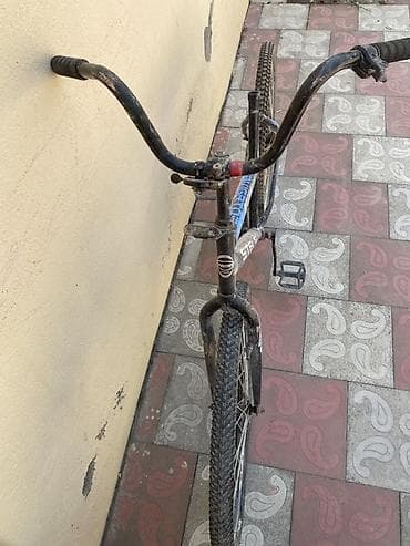 turist velosiped: Veziyyetleri gorunduyu kimidir. Velosipedler Berdededir. Tek tekde — 7