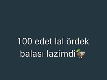 100 edet lal ördek balasi lazimdi.055 530 50 06☎️