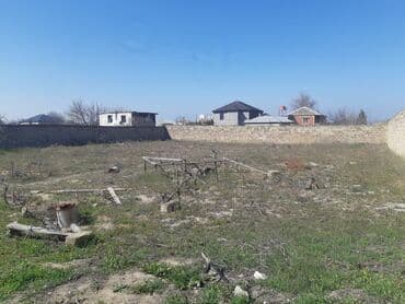 12 sot, Makler, Kupça (Çıxarış)